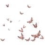 Moth Plague TF2 Unusual effect artwork